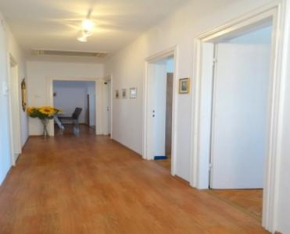 Гостиница Apartment Dvorska  Цриквеница